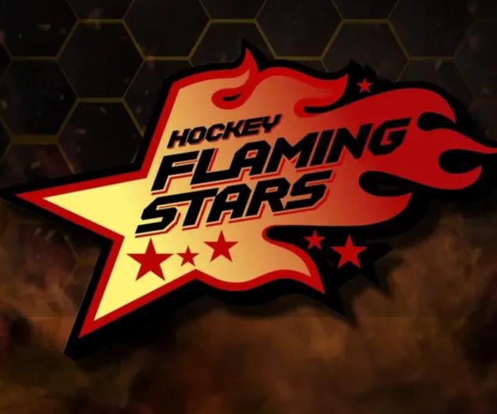 Hokejový turnaj tří mužstev r. 2012 + 3 hráči r. 2011